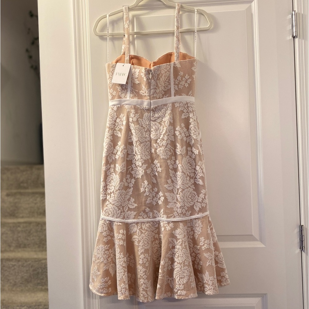 Jarlo " Truth " dress New with tags - Picture 9 of 9